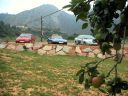 15/08/2002 19:58 - Apples - And the more typical Asturian apples - 